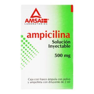 AMPICILINA 500 MG INY