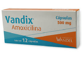 VANDIX (AMOXICILINA 500 MG)